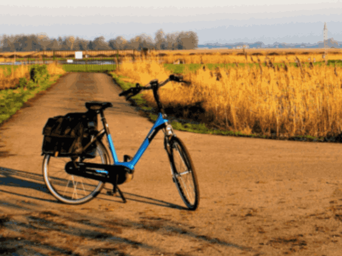 Mid blue step through electric bike with black panniers parked on a path in a corn field